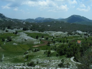 muntenegru 1 (321)